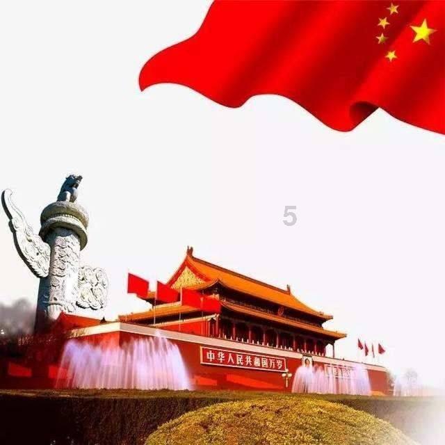 深入探索知识星球平台,尽享向日葵的花语有哪些?的分享与学习乐趣